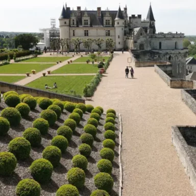 Le château royal d'Amboise